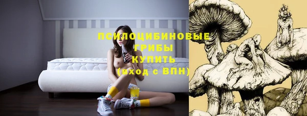индика Абинск