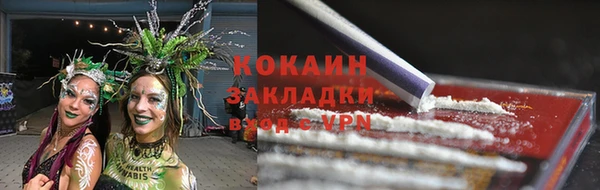 гашик Алзамай