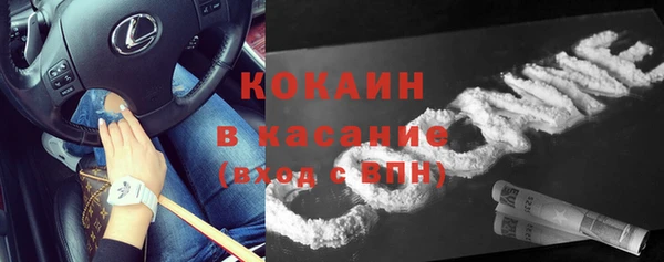 прущие грибы Абдулино