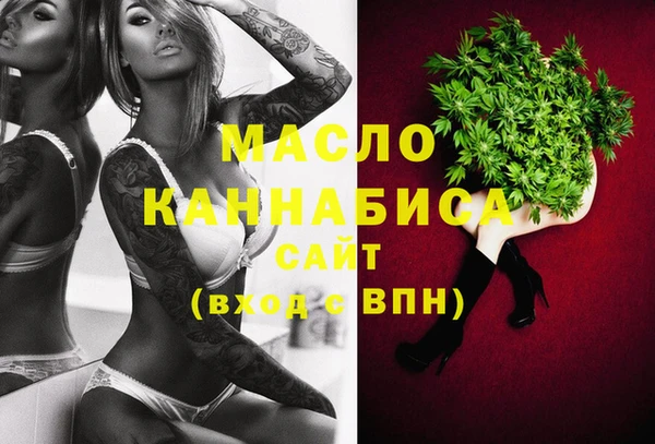 индика Абинск