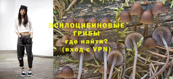 гашик Абаза