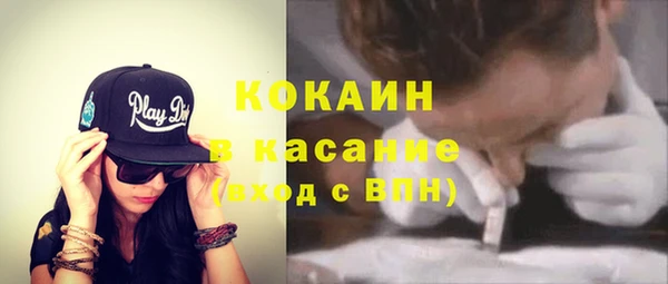 индика Абинск