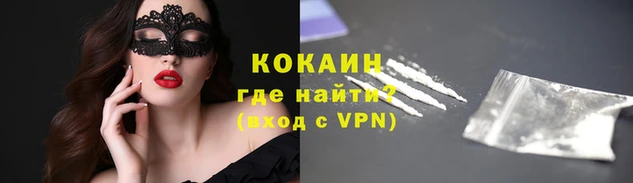 гашик Абаза