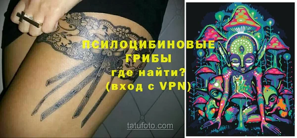 прущие грибы Абдулино