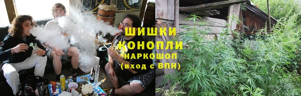 индика Абинск
