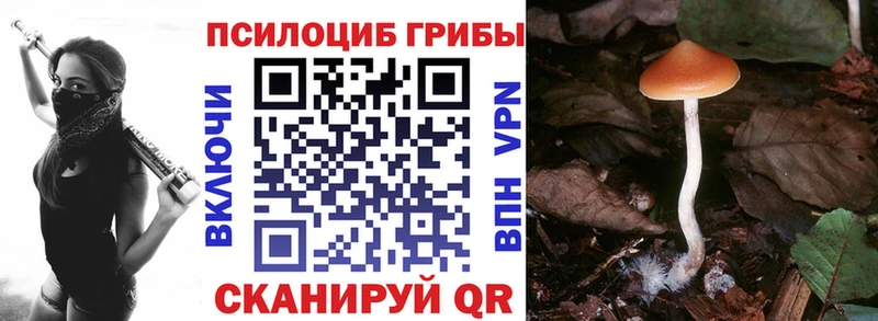 кракен сайт  Удачный  Псилоцибиновые грибы мухоморы 